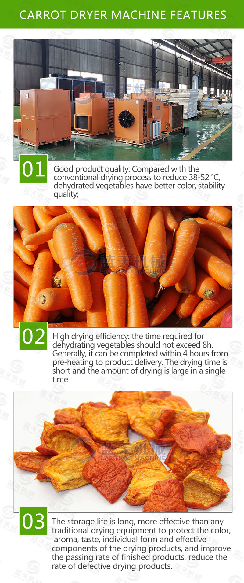 carrot chips dryer equipment