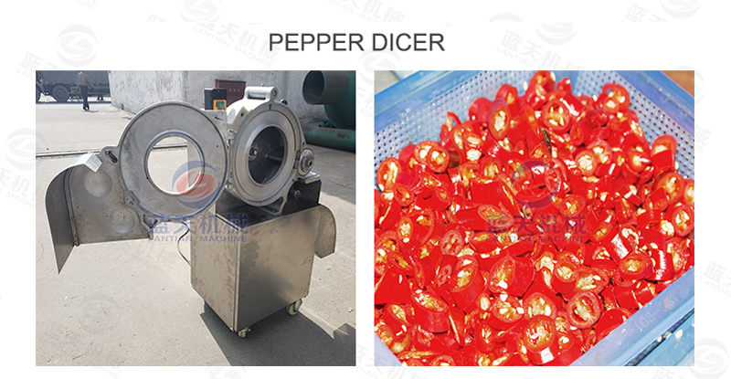 red chilli dryer machine