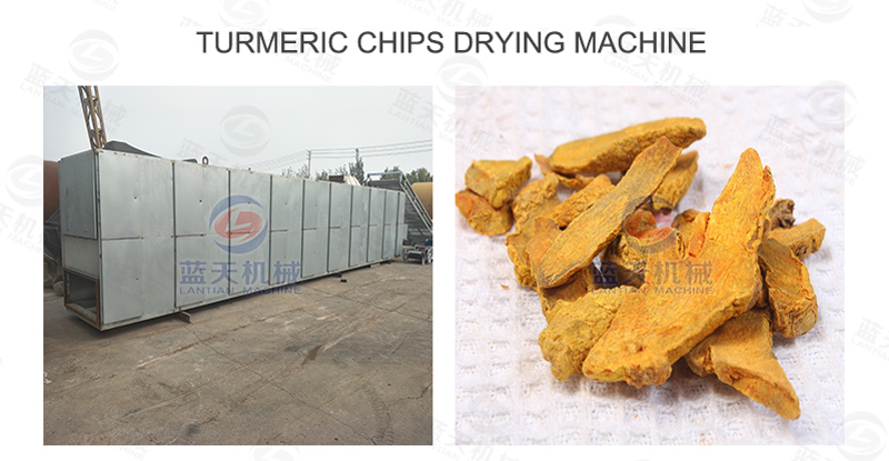 turmeric chips drying machine