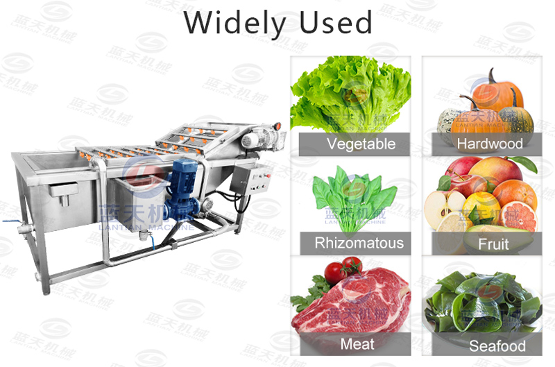 Widely used of lettuce washer