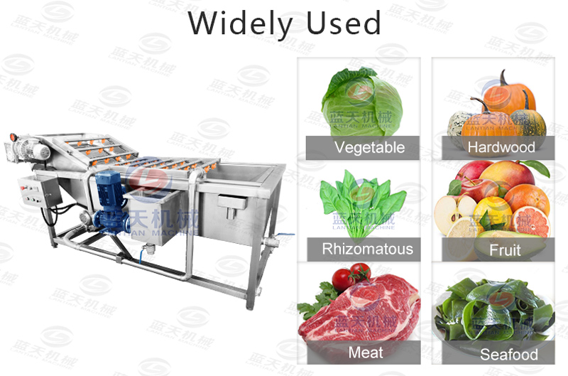 Widely used of cabbage washer