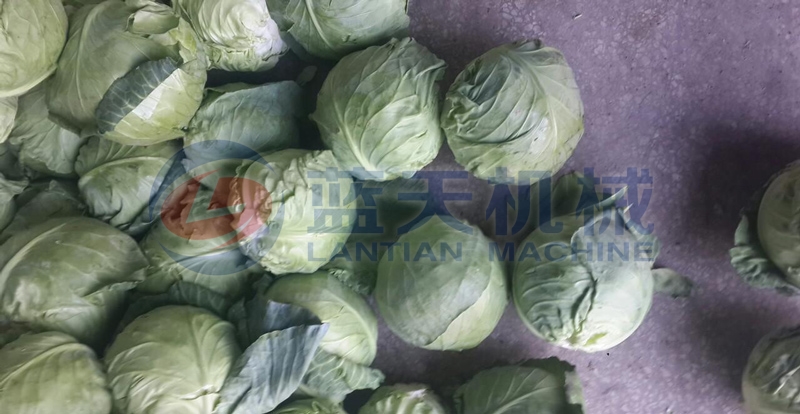 Our cabbage washer machine price is just,and cabbage washing machine is used bubble washing machine