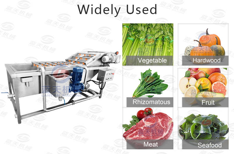 Widely used of spinach washing machine