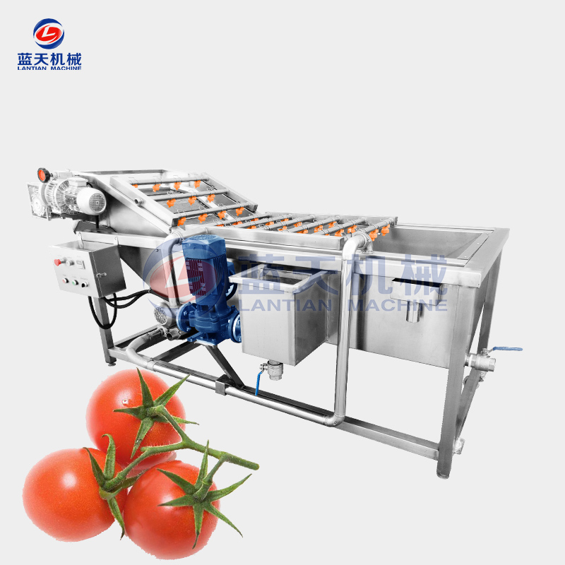 Cherry Tomato Washing Machine