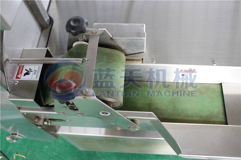 Panorama of onion slicing machine