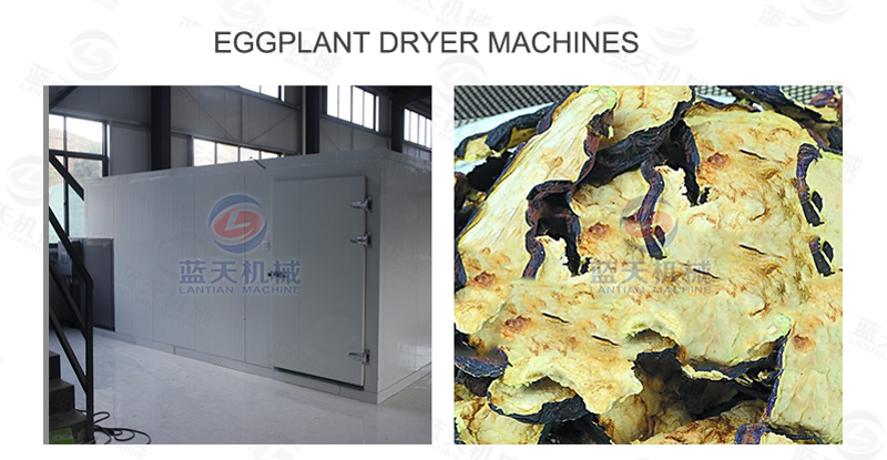 Eggplant dryer machines