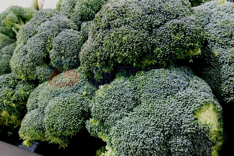 Our broccoli dryer machine can keep edible value well