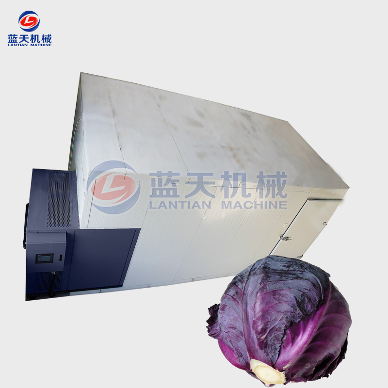 Purple Cabbages Dryer