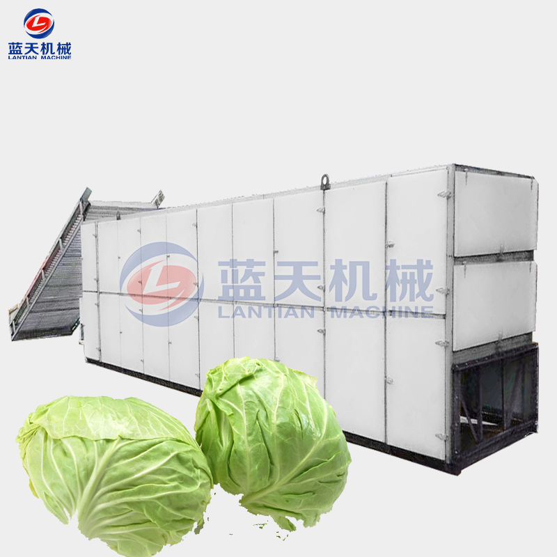 Cabbage Dryer Machines
