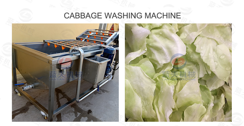 Cabbage washing machine